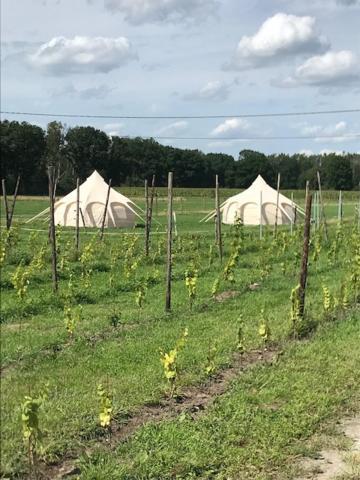 Natuur-Like Glamping In Bosland Pelt Экстерьер фото
