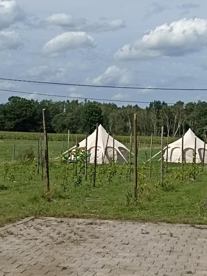 Natuur-Like Glamping In Bosland Pelt Экстерьер фото