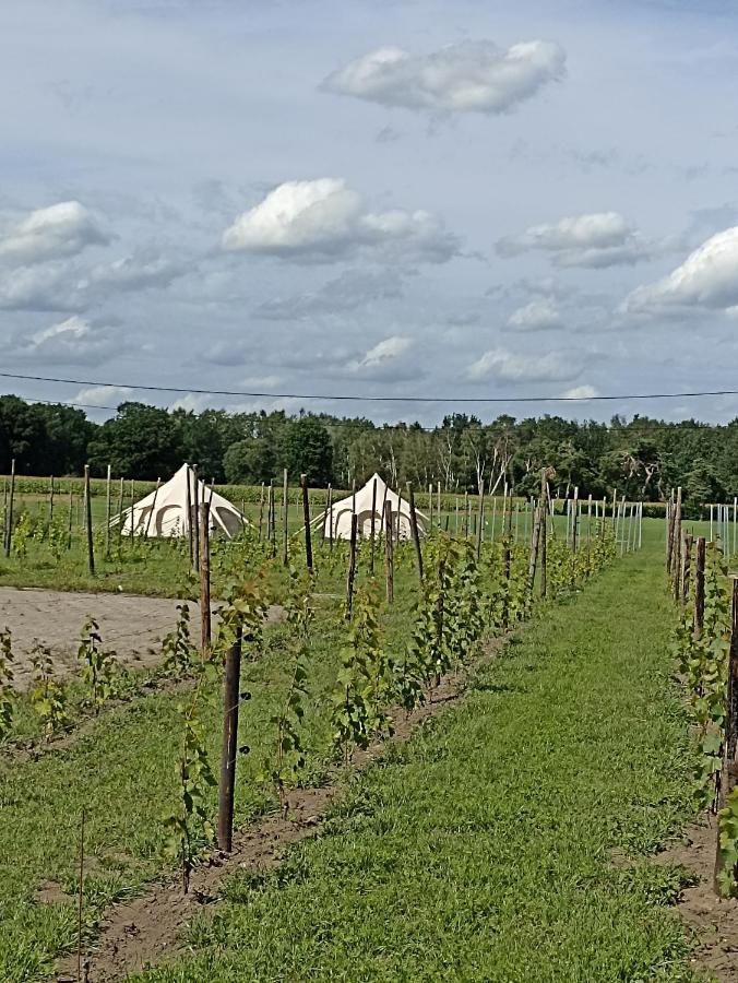 Natuur-Like Glamping In Bosland Pelt Экстерьер фото