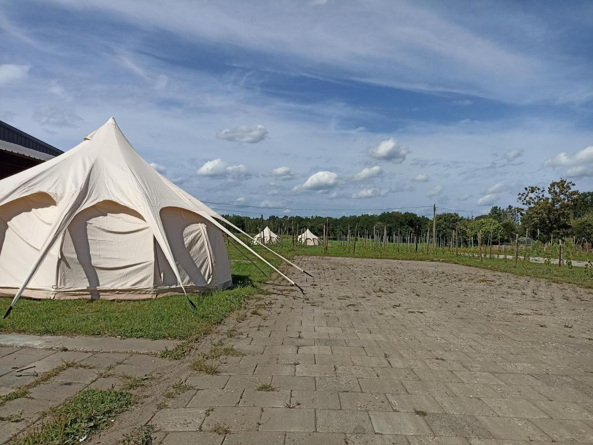 Natuur-Like Glamping In Bosland Pelt Экстерьер фото