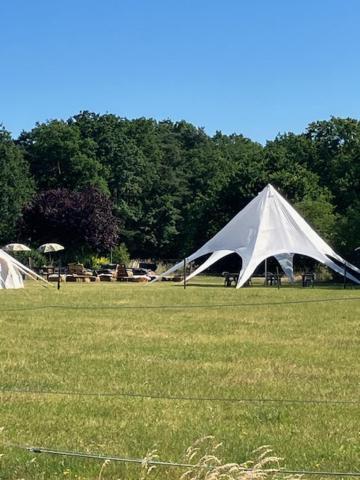 Natuur-Like Glamping In Bosland Pelt Экстерьер фото